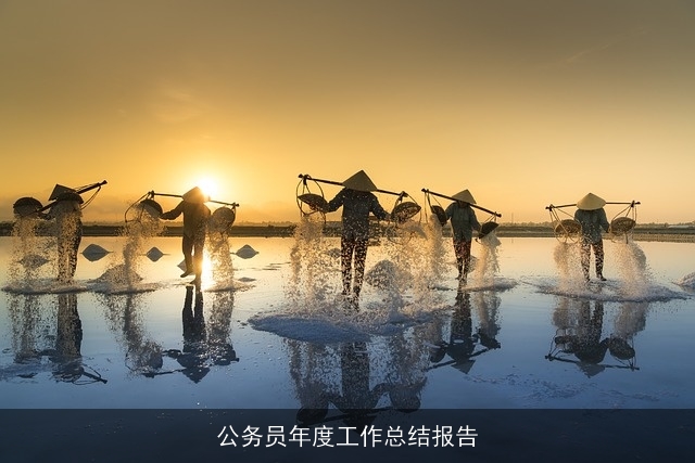 公务员年度工作总结报告