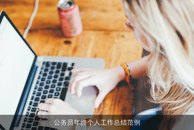 公务员年终个人工作总结范例