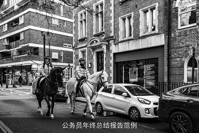 公务员年终总结报告范例