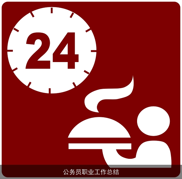 公务员职业工作总结