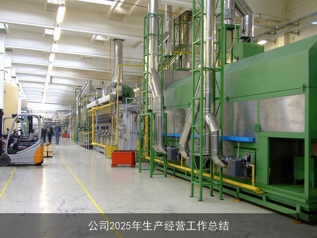 公司2025年生产经营工作总结