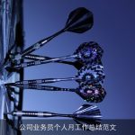 公司业务员个人月工作总结范文