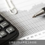 公司会计个人年度工作总结