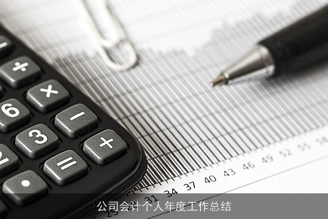 公司会计个人年度工作总结