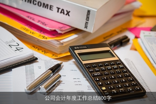 公司会计年度工作总结800字