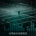 公司会计总结范文