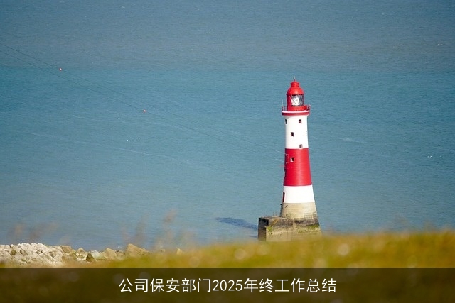 公司保安部门2025年终工作总结