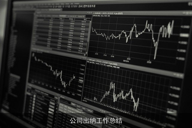 公司出纳工作总结