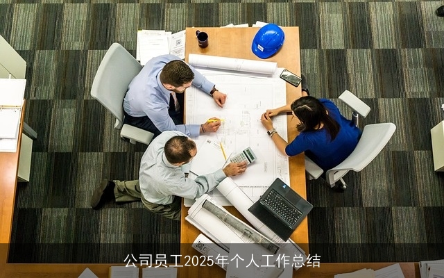 公司员工2025年个人工作总结