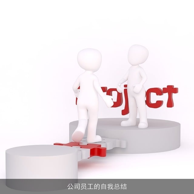 公司员工的自我总结