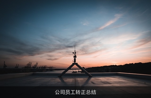 公司员工转正总结
