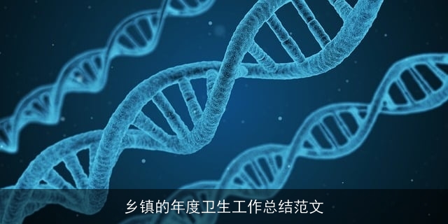 乡镇的年度卫生工作总结范文