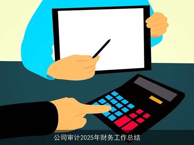 公司审计2025年财务工作总结