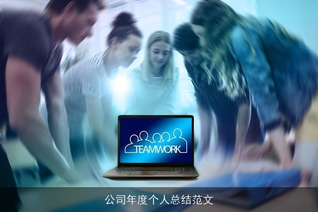 公司年度个人总结范文