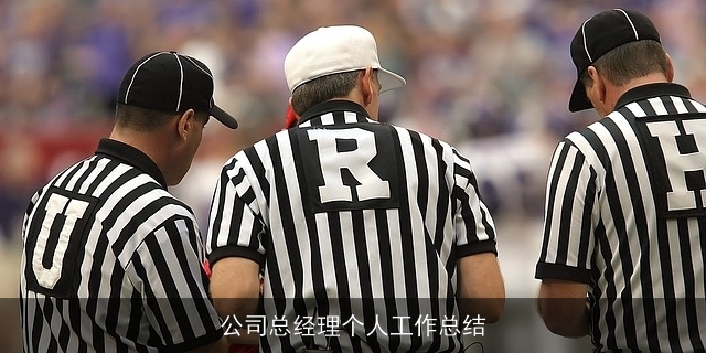 公司总经理个人工作总结