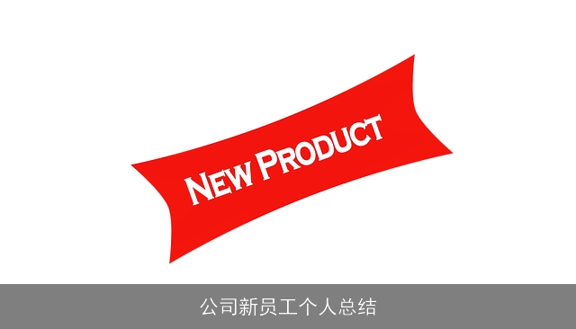 公司新员工个人总结