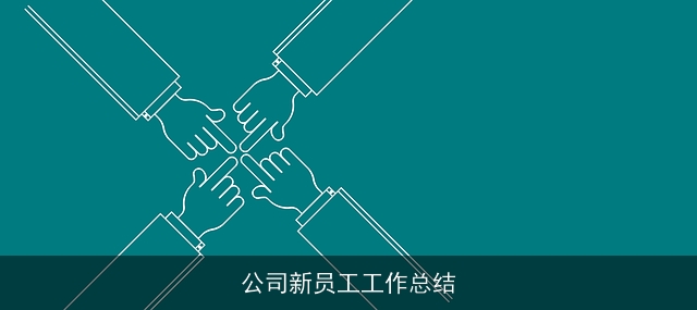 公司新员工工作总结