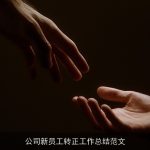 公司新员工转正工作总结范文