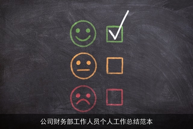 公司财务部工作人员个人工作总结范本