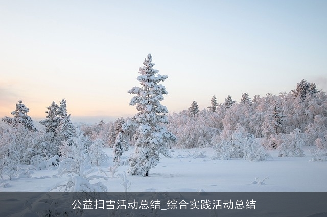 公益扫雪活动总结_综合实践活动总结