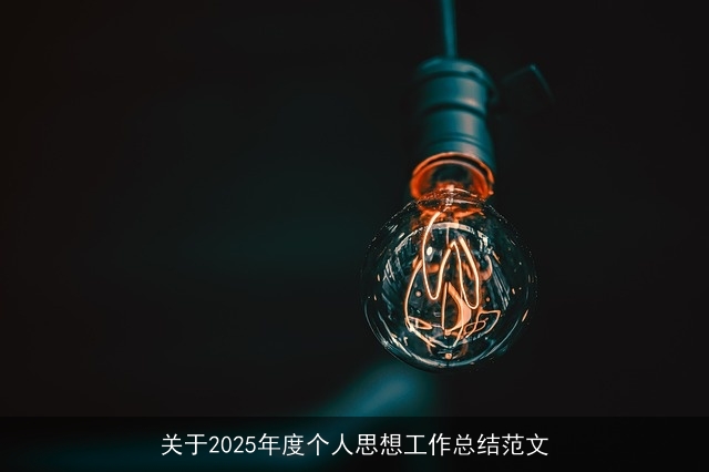 关于2025年度个人思想工作总结范文