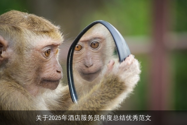 关于2025年酒店服务员年度总结优秀范文