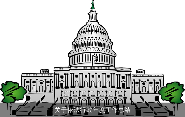 关于依法行政年度工作总结