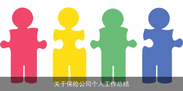 关于保险公司个人工作总结