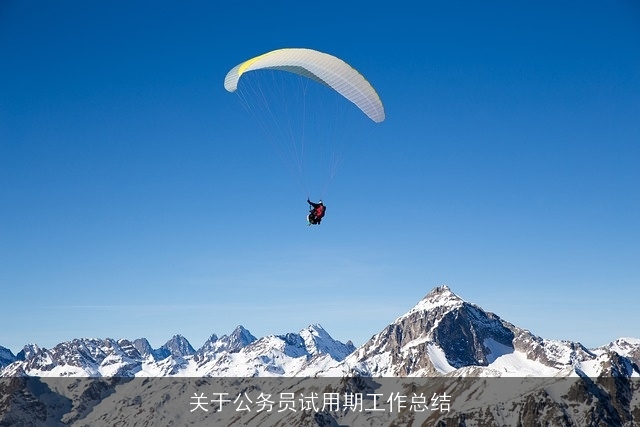 关于公务员试用期工作总结