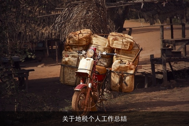 关于地税个人工作总结