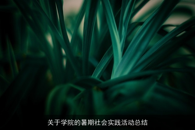 关于学院的暑期社会实践活动总结