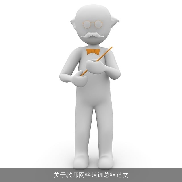 关于教师网络培训总结范文