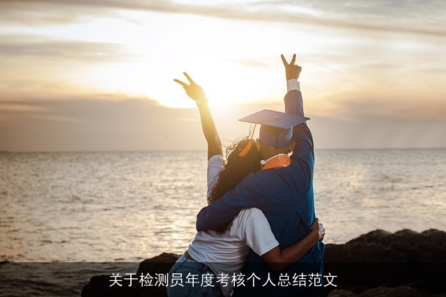 关于检测员年度考核个人总结范文