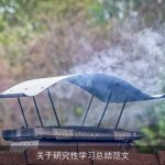 关于研究性学习总结范文