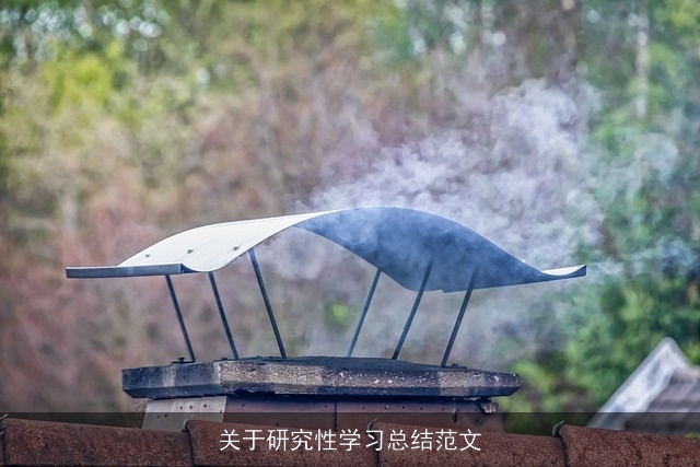 关于研究性学习总结范文