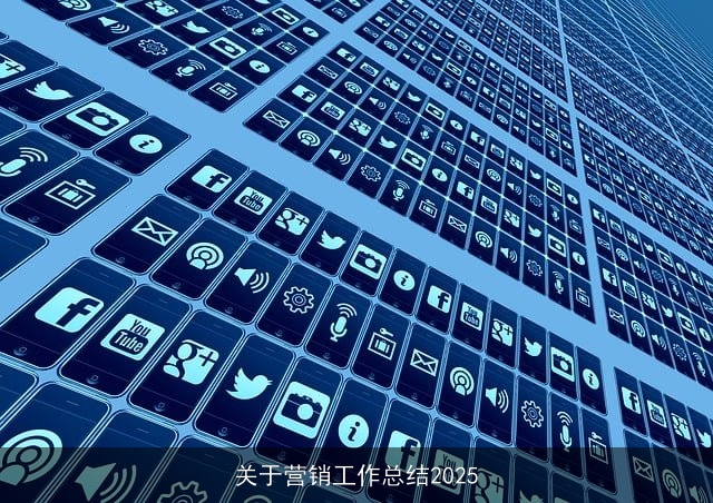 关于营销工作总结2025