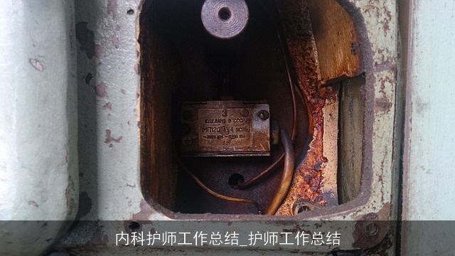 内科护师工作总结_护师工作总结