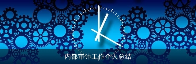 内部审计工作个人总结