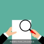内部审计年终工作总结范文