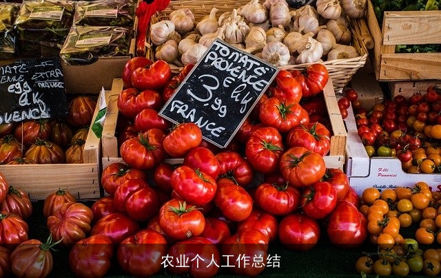 农业个人工作总结