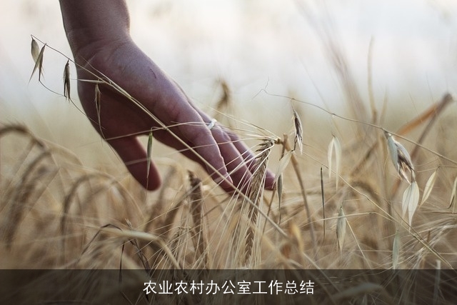 农业农村办公室工作总结