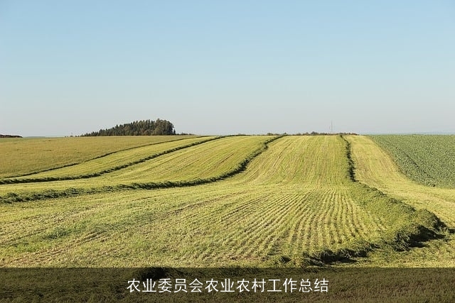 农业委员会农业农村工作总结