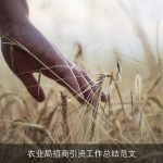 农业局招商引资工作总结范文