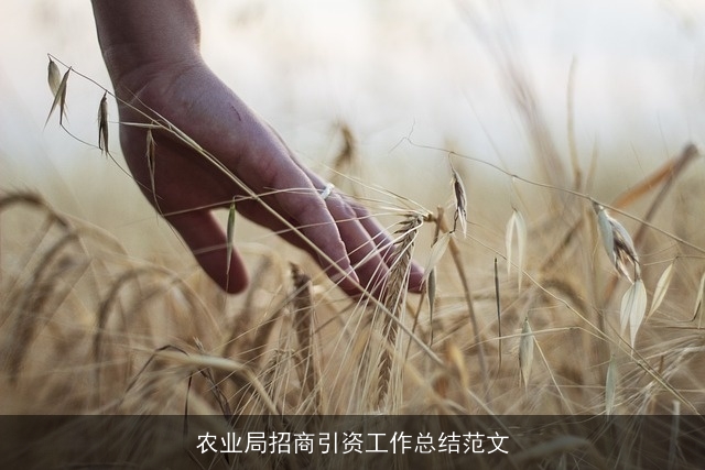 农业局招商引资工作总结范文