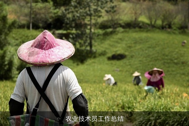 农业技术员工作总结