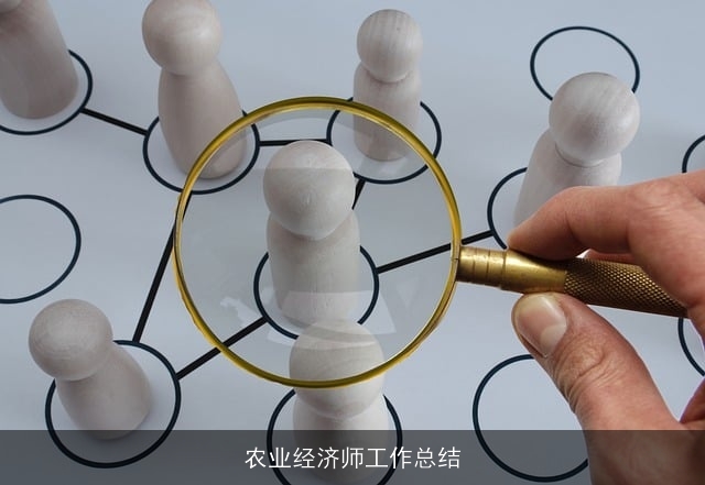 农业经济师工作总结