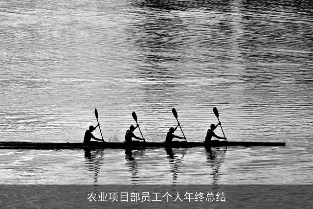 农业项目部员工个人年终总结