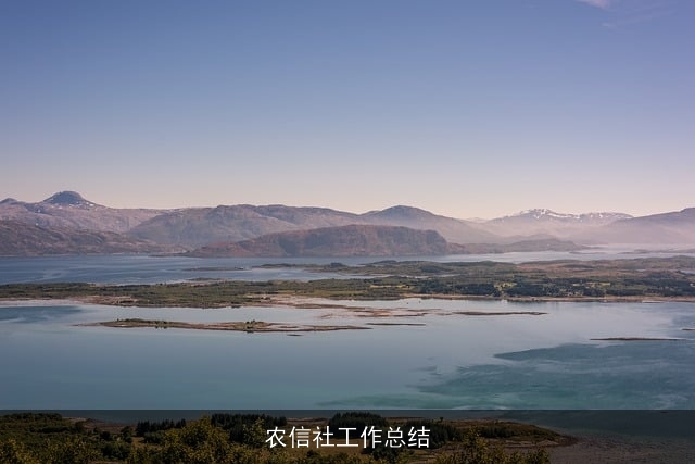 农信社工作总结