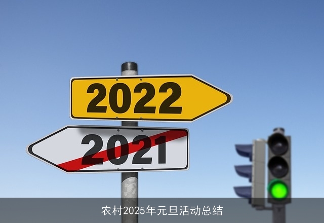 农村2025年元旦活动总结