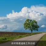 农村修建道路工作总结